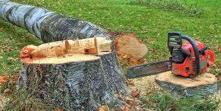 Best Firewood Processing and Delivery  in North Fork, CA