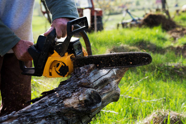 Best Utility Line Clearance  in North Fork, CA